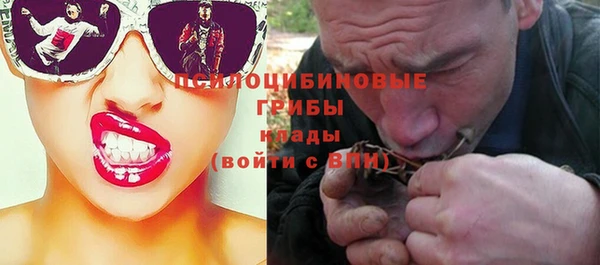 прущие грибы Балахна