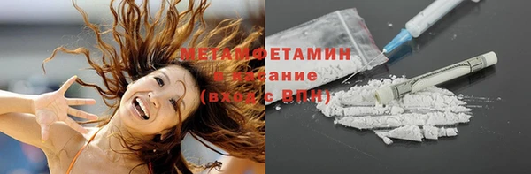 прущие грибы Балахна