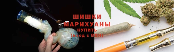 прущие грибы Балахна