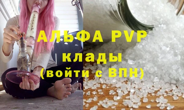 spice Баксан