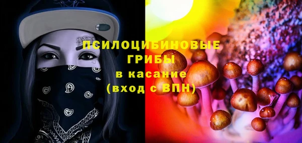 прущие грибы Покачи